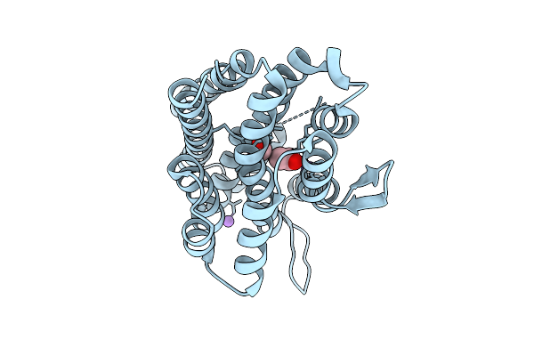 9VWB image