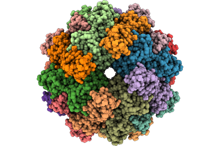 9VWI image
