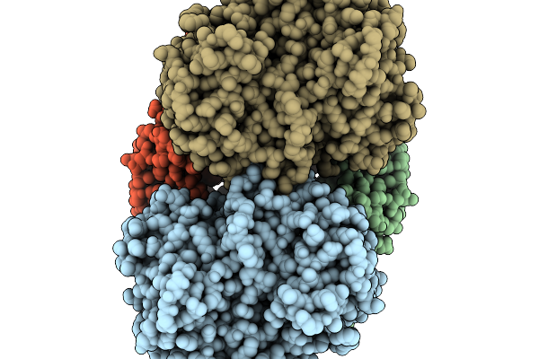 9VX1 image