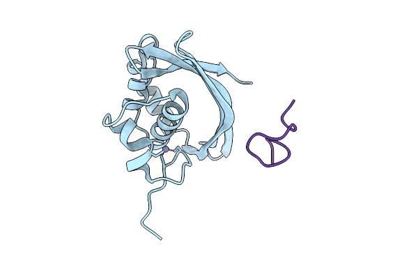 9VXG image