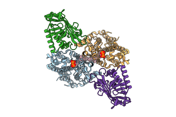 9VXI image