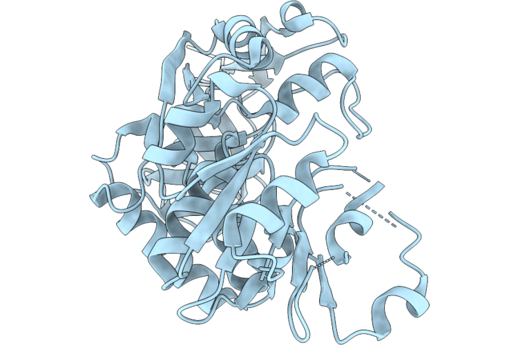 9VXK image