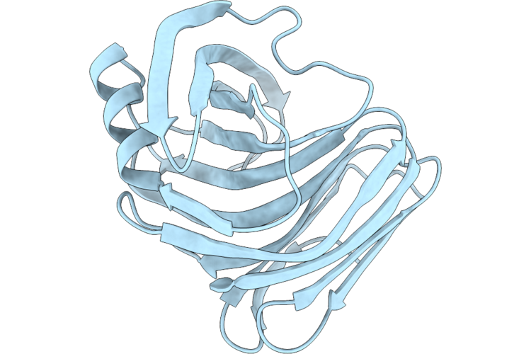 9VXQ image