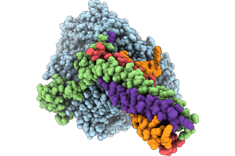 9VXV image