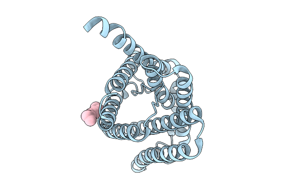 9VXW image