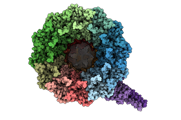9VYG image