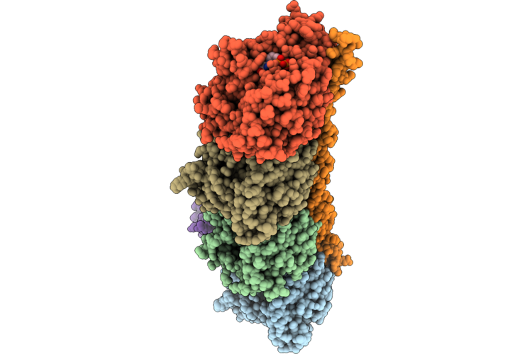 9VYM image