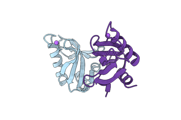 9VYT image