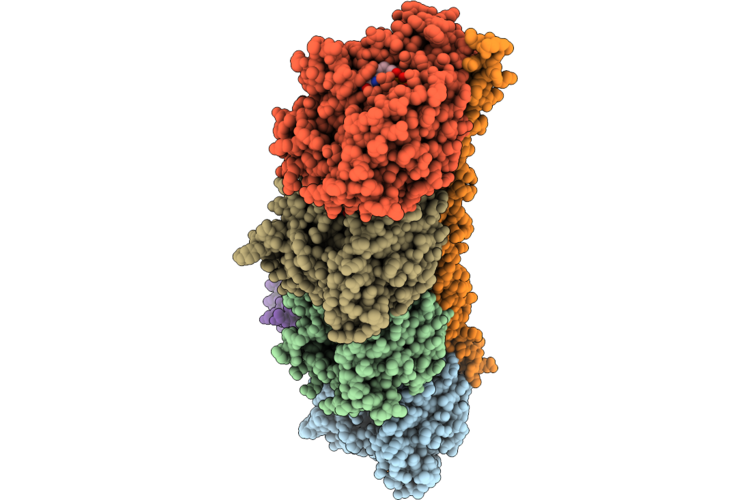 9VZL image