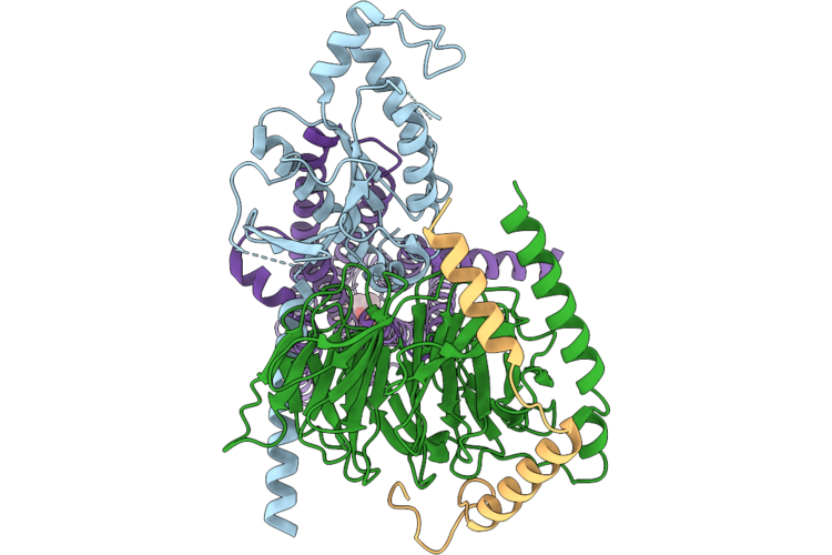 9W0S image