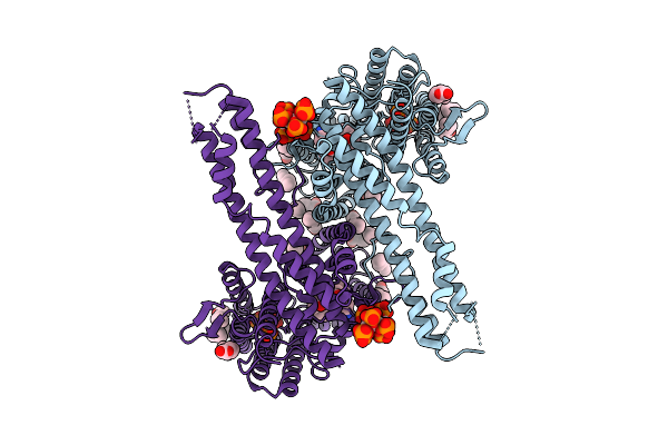 9W1B image