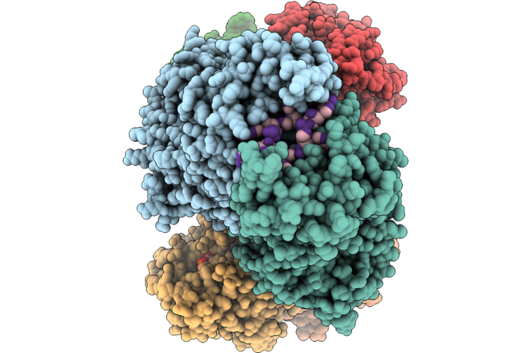 9W1F image