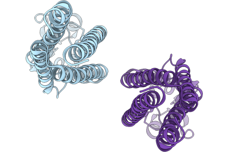 9W2B image