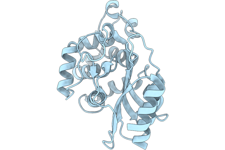 9W2E image