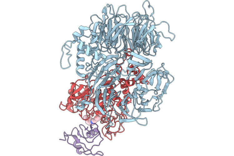 9W2F image