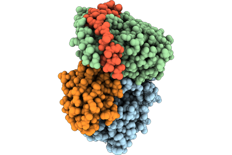 9W2G image