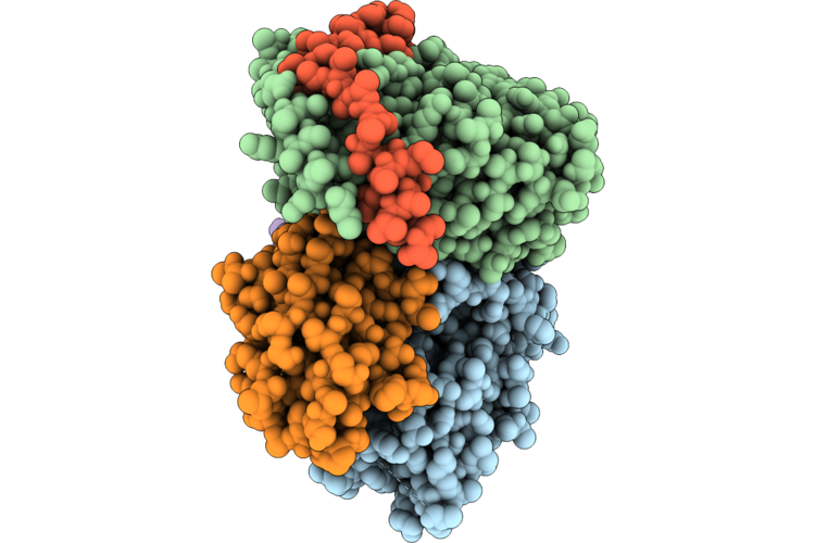 9W2H image