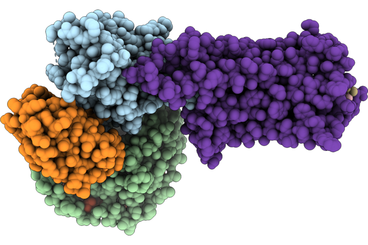 9W2I image