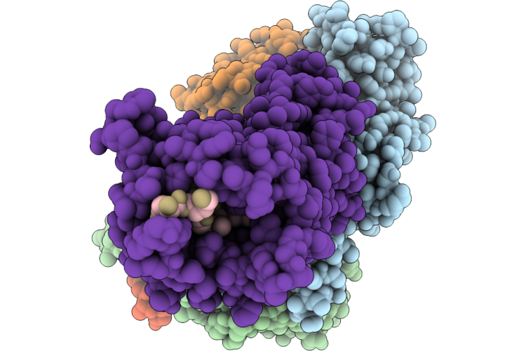 9W2J image