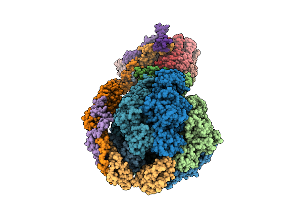 9W2S image