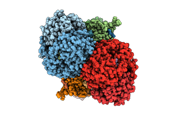 9W2Y image