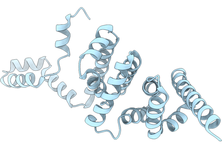 9W3X image