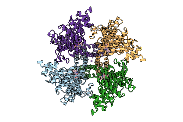 9W4T image