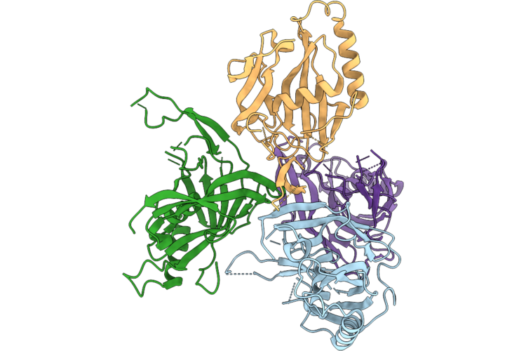 9W6C image