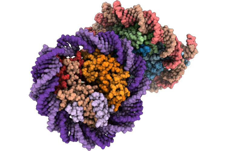 9W6I image