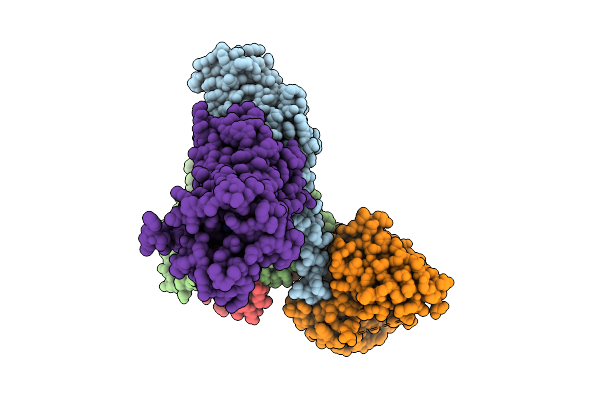 9W6W image