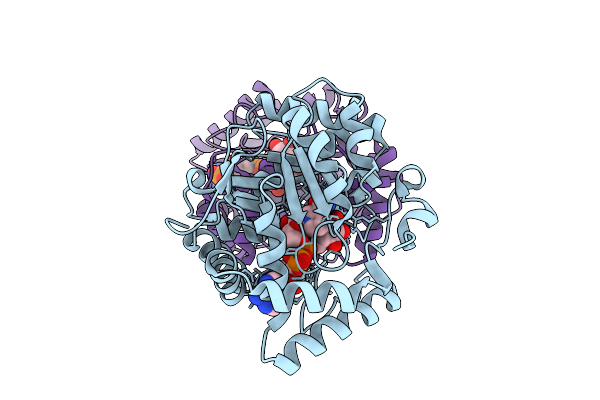 9W7A image