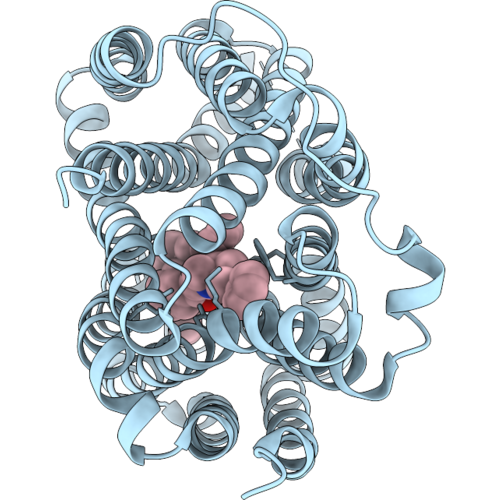 9W8B image