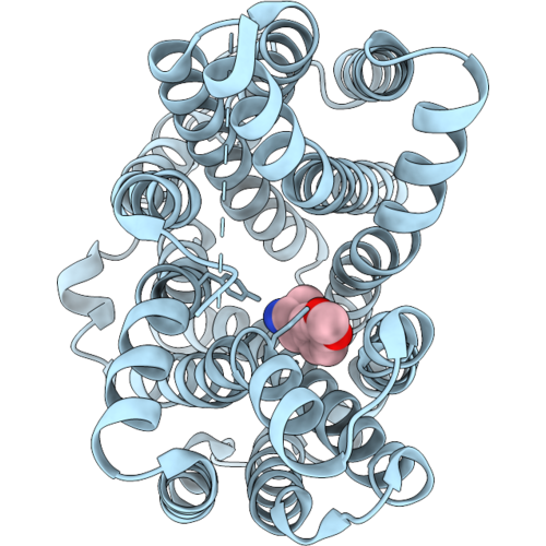 9W8C image