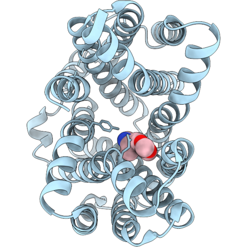 9W8D image