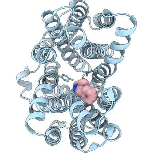 9W8E image