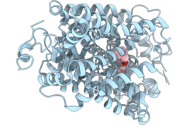 9W8Q image