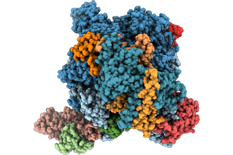 9W8V image