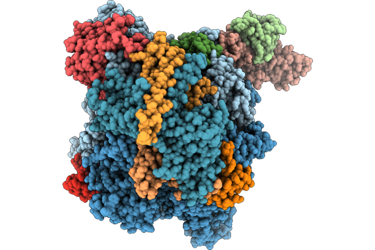 9W8X image