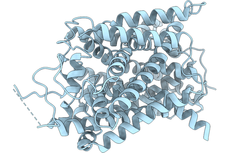 9W9B image