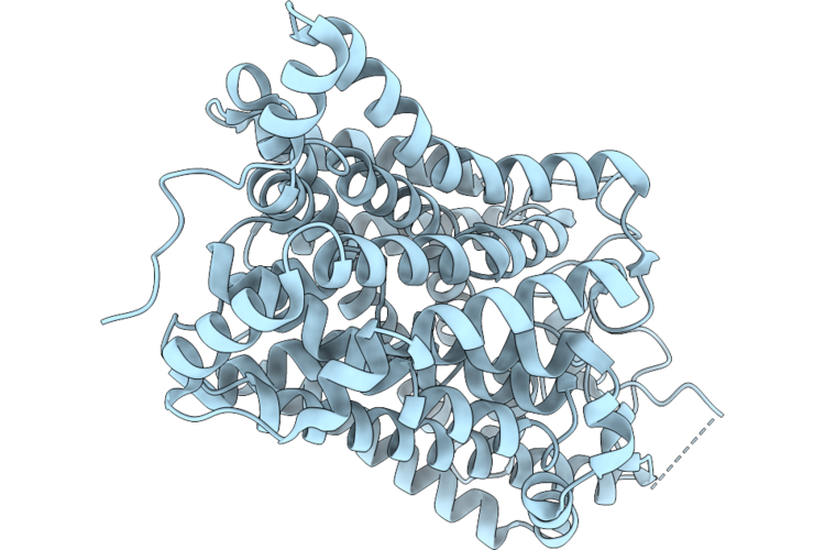 9W9C image