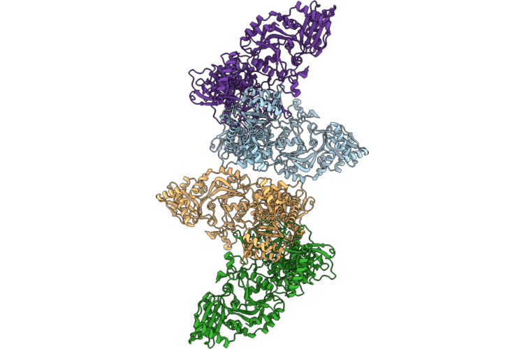 9W9E image