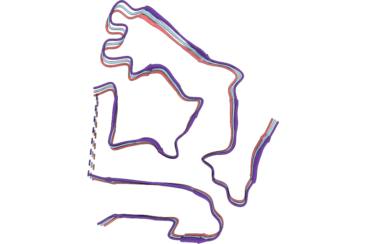 9W9N image