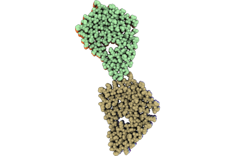 9W9Q image