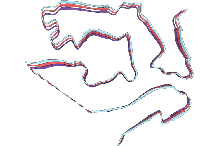 9W9Z image