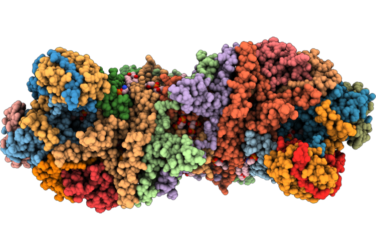 9WCX image