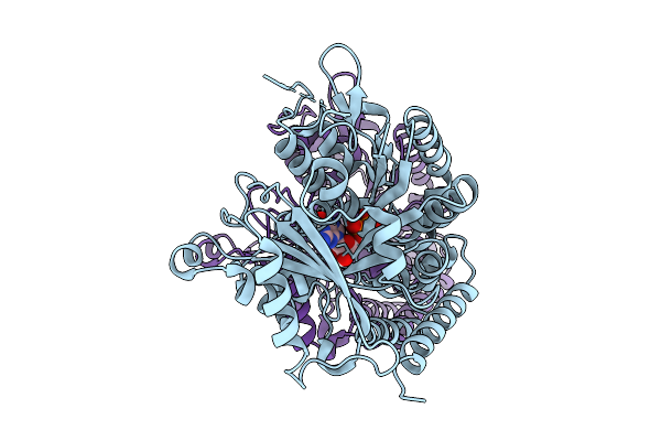 9WD7 image