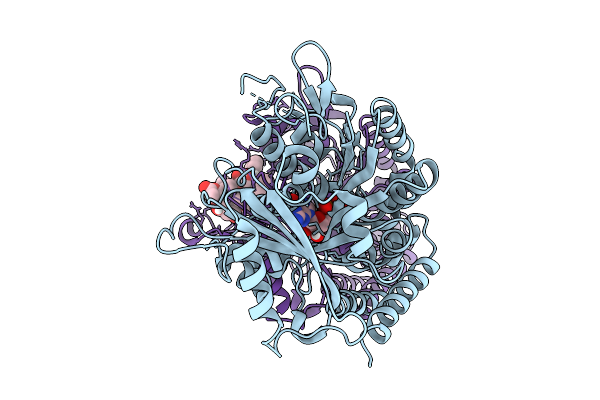 9WDB image