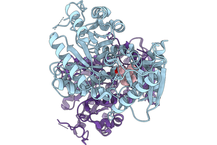 9WDR image
