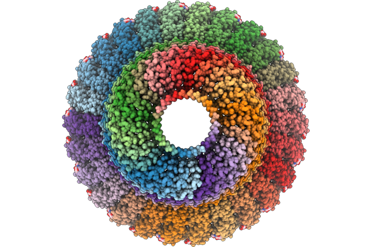 9WE7 image