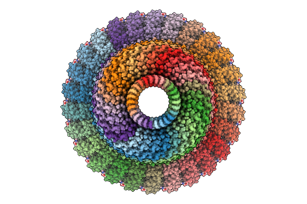 9WFF image